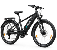 Electric Bikes